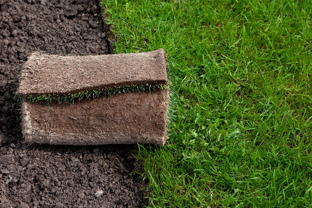 Artificial Grass Installation in London: What You Need to Know