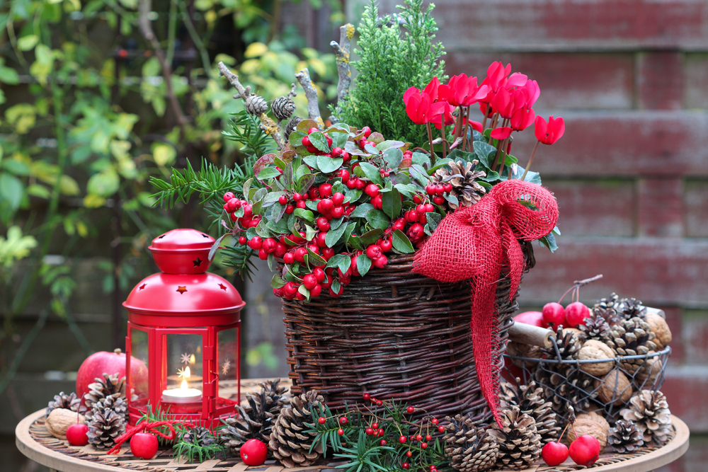 Garden Decoration Ideas for Christmas