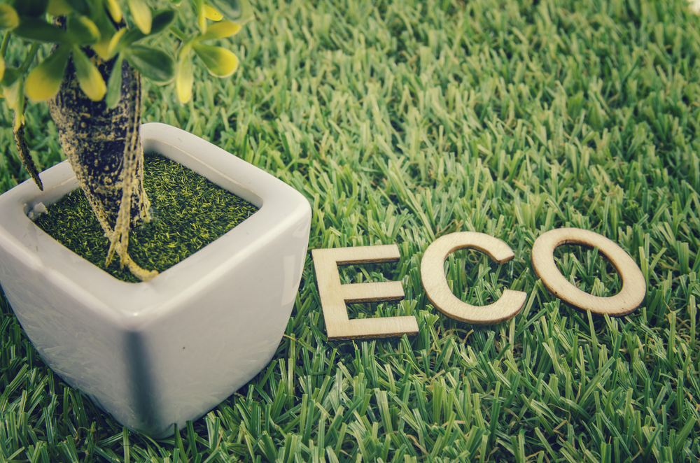 The Environmental Impact of Artificial Grass: A Sustainable Choice for Essex