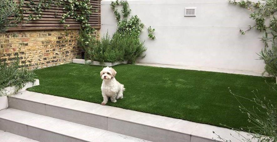 Artificial Grass for Dogs