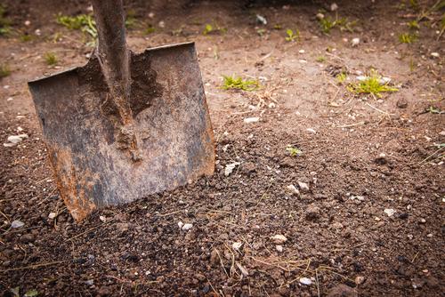 Old rustic gardening tool stuck in the ground