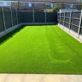 Luxury Lawn 3424