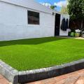 Luxury Lawn 3632