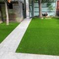 Luxury Lawn 3656