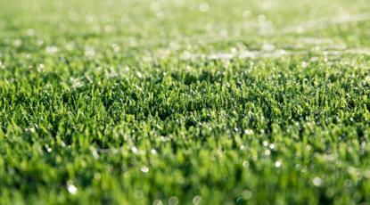 Is Artificial Grass Environmentally Friendly?