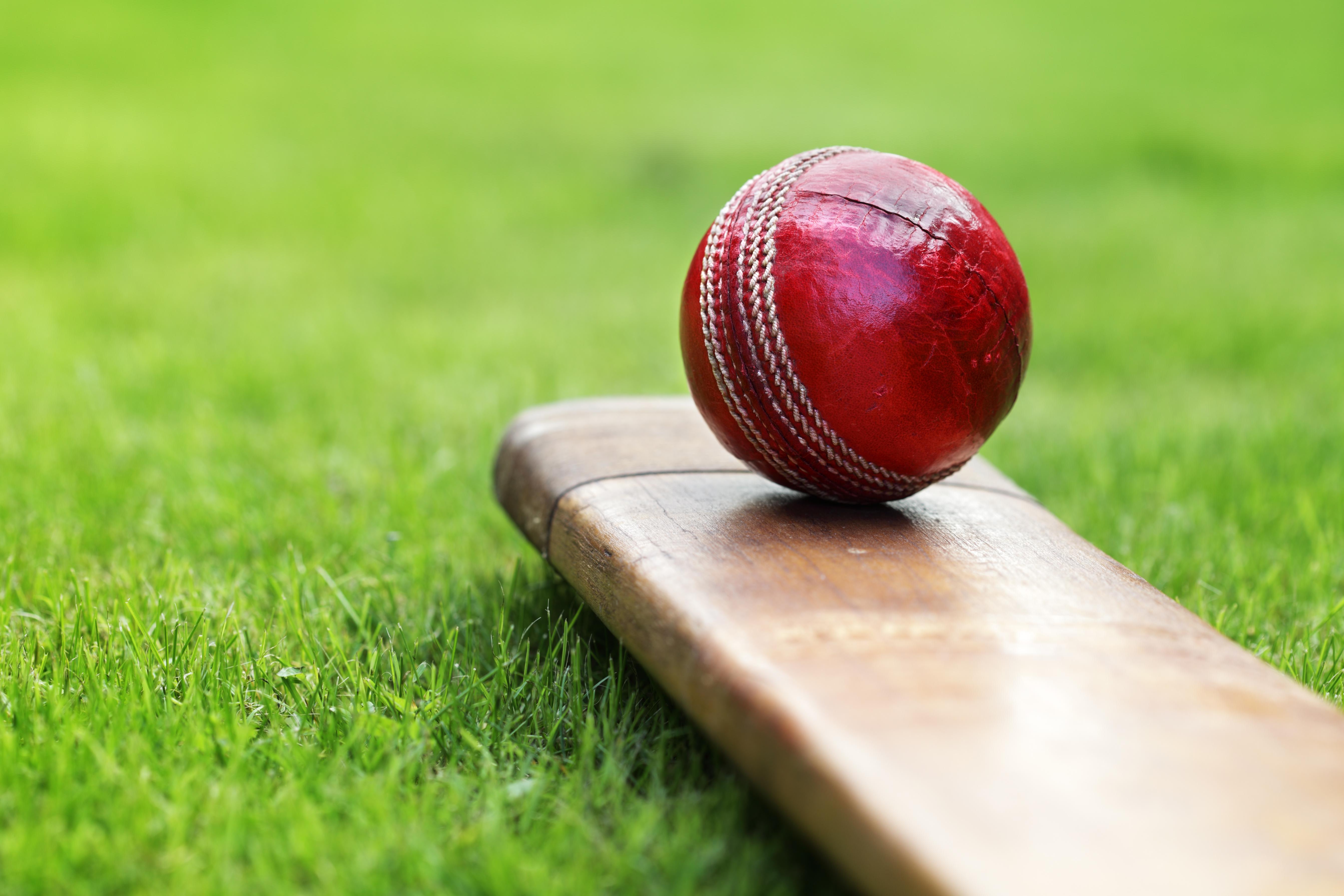 How To Ensure Safety While Playing Cricket? - Wire Farm