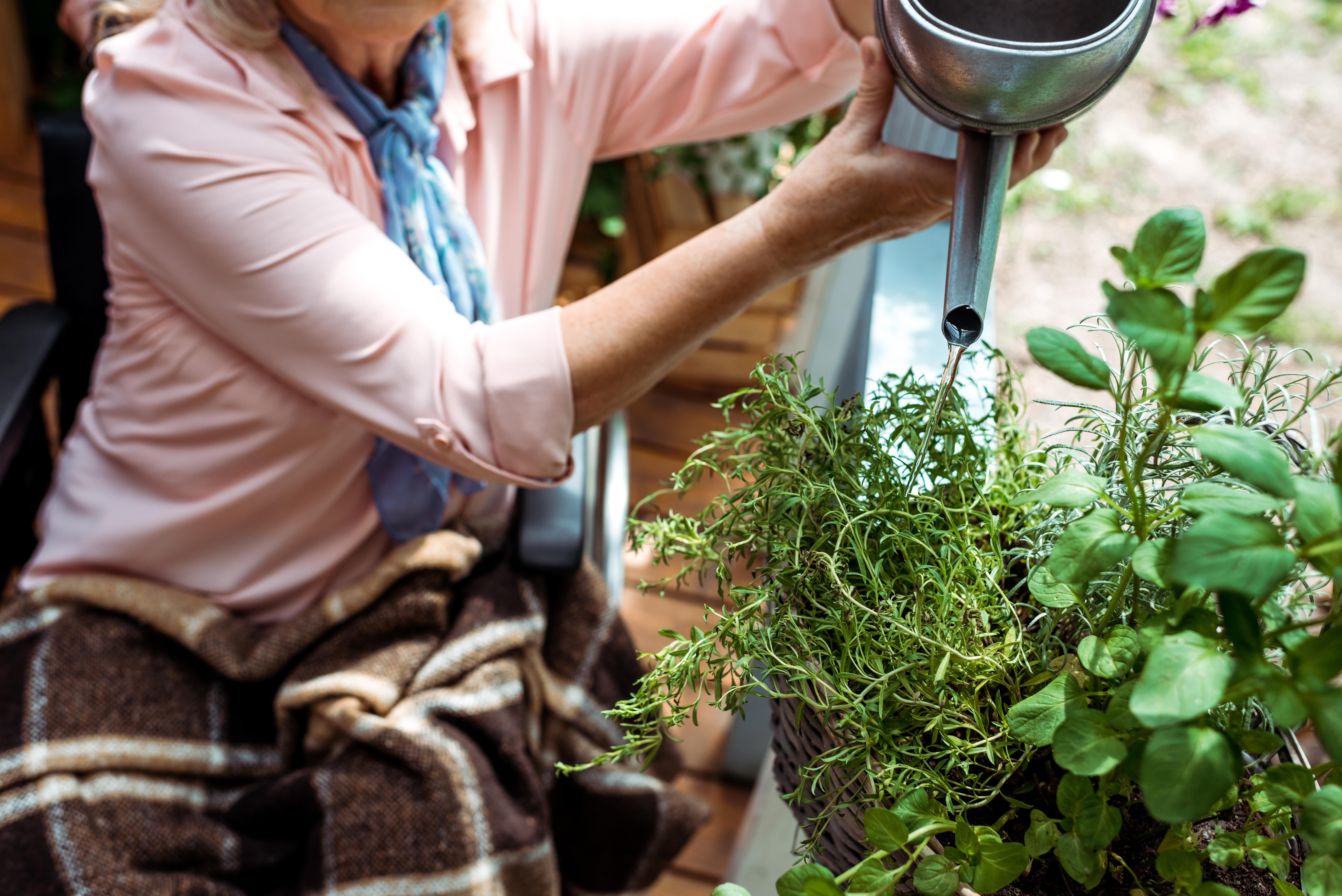 Aids for Disabled Gardeners