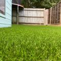 Easy Lawn image