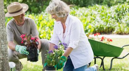Gardening for the Elderly