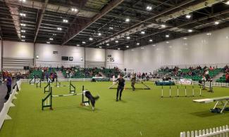 Pedigree Lawn installation at the Discover Dogs show at ExCel