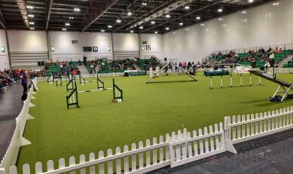 Pedigree Lawn installation at the Discover Dogs show at ExCel, London 2021