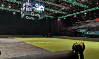 Pedigree Lawn Installation at Crufts dog show at the NEC