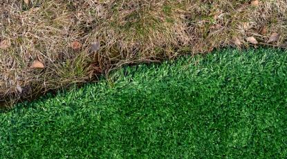 Can You Mix and Match Artificial and Real Grass?