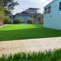 Miracle Lawn 4657