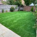 Miracle Lawn 4659