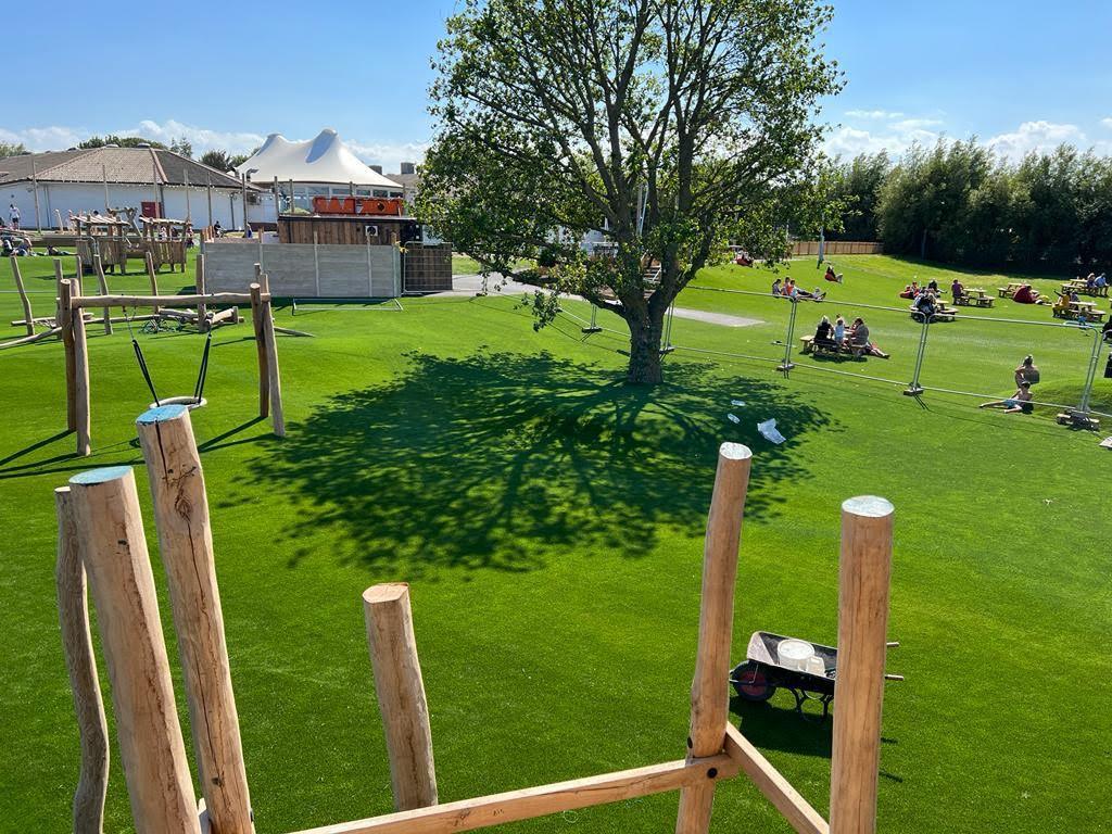 Introducing Premium Artificial Grass Specialists