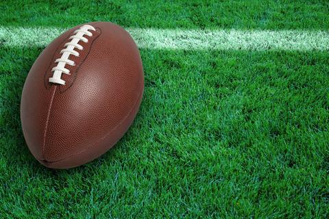 NFL and Artificial Grass | Artificial Lawn Company