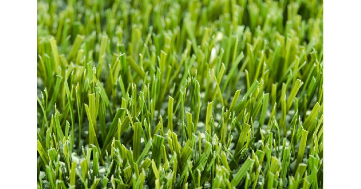 How Much Does Fake Grass Cost? | Low-Budget Options